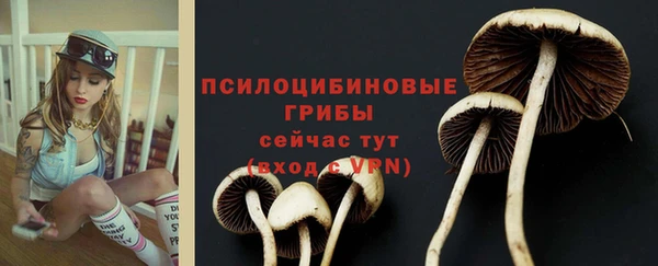 2c-b Абаза