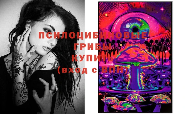 мяу мяу мука Абинск