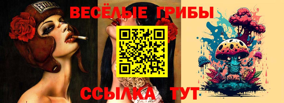 Псилоцибиновые грибы Psilocybe Домодедово